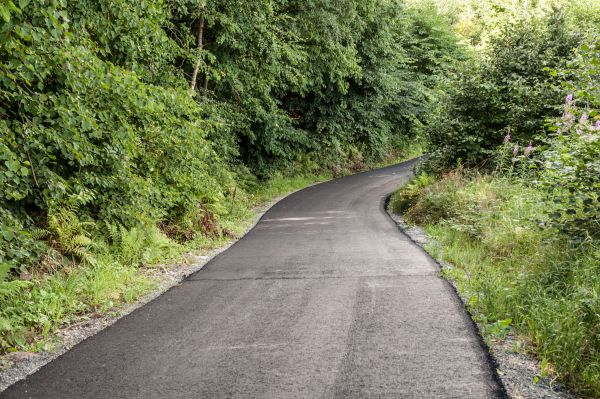 Cost of Asphalt Driveway Replacement in Elkhart